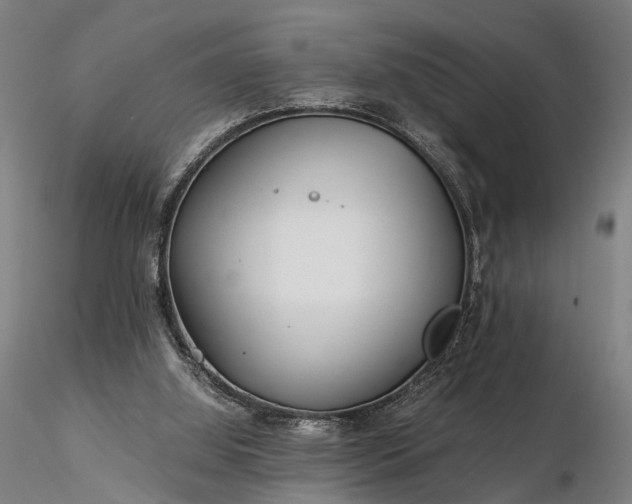 X0000116390060200912161534