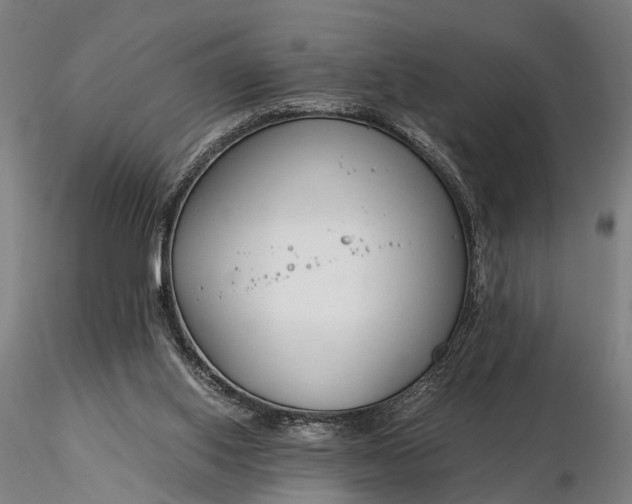 X0000116390062200912161534