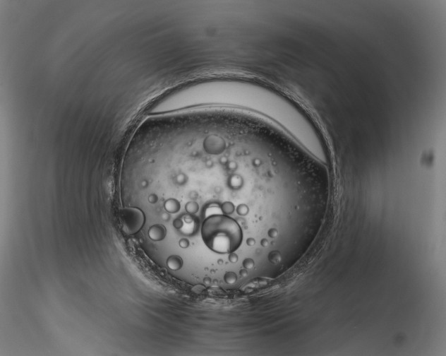 X0000116390063200912161534