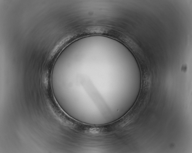 X0000116390064200912161534