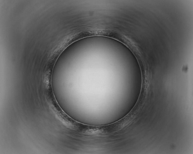 X0000116390065200912161534