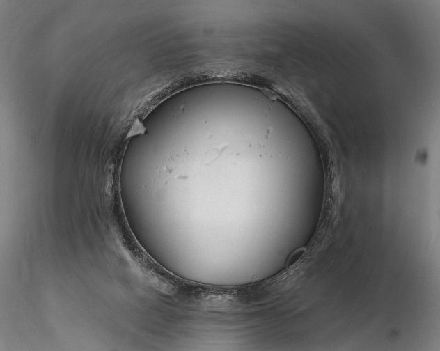 X0000116390066200912161534