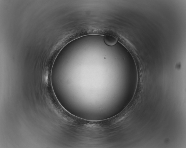 X0000116390067200912161534