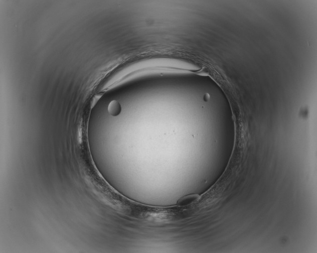 X0000116390068200912161534