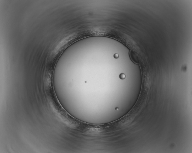 X0000116390071200912161534