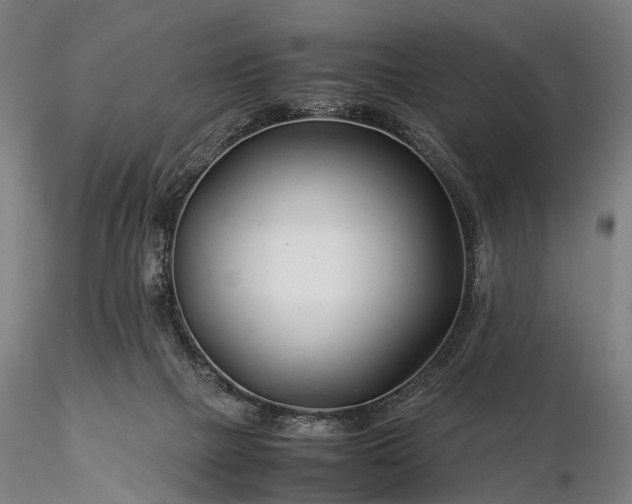 X0000116390073200912161534