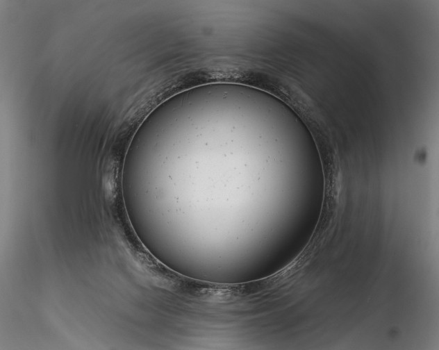 X0000116390074200912161534