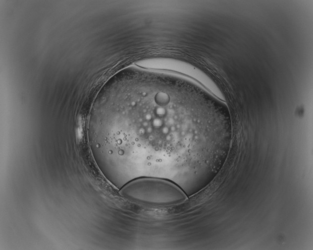 X0000116390075200912161534