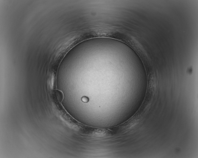 X0000116390076200912161534