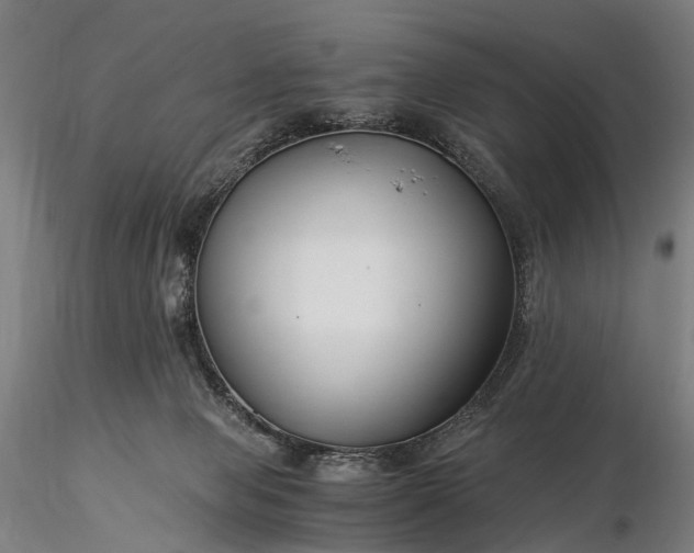 X0000116390077200912161534