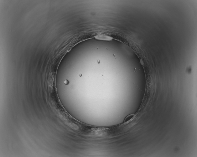 X0000116390078200912161534