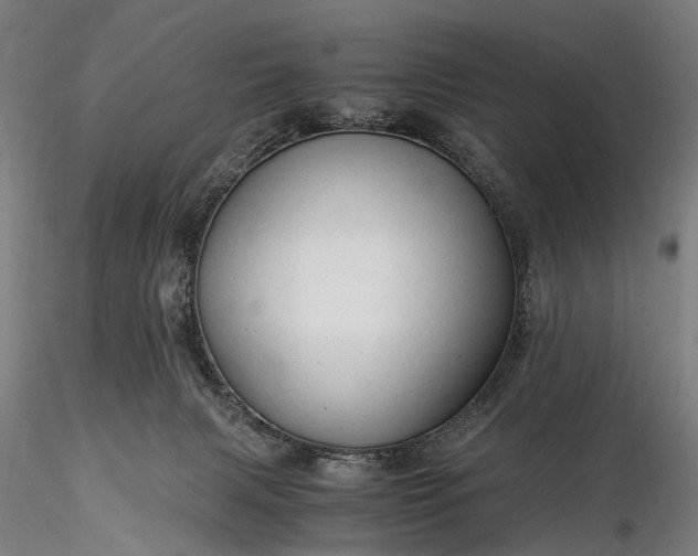 X0000116390079200912161534