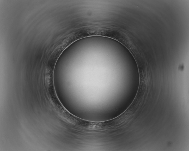 X0000116390080200912161534