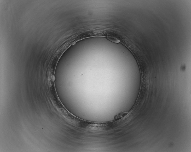 X0000116390082200912161534