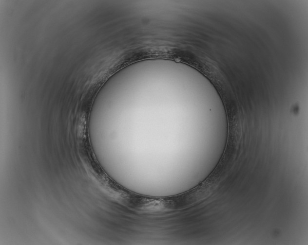 X0000116390083200912161534