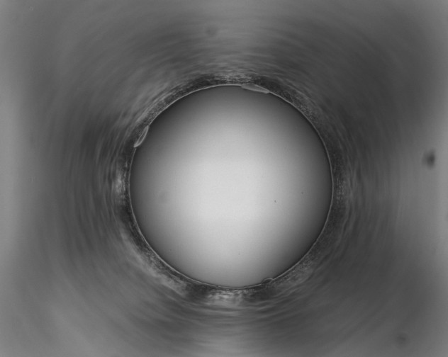 X0000116390084200912161534