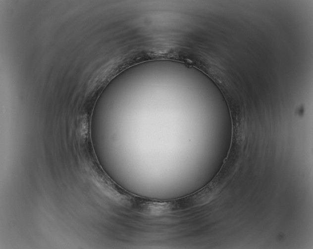 X0000116390085200912161534