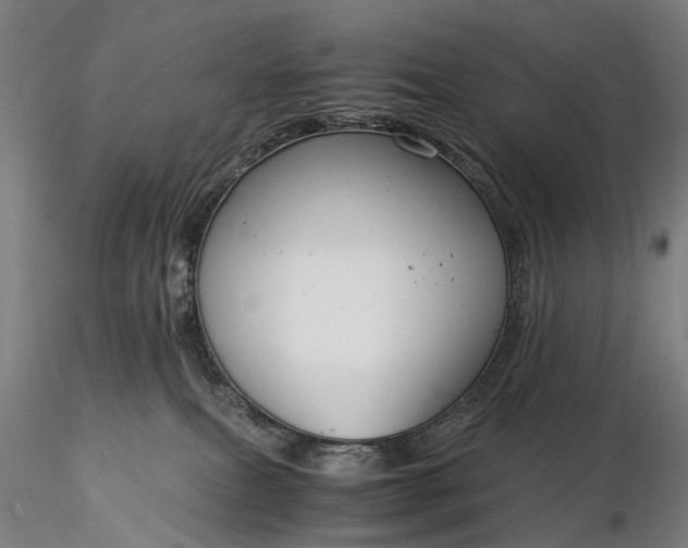 X0000116390087200912161534