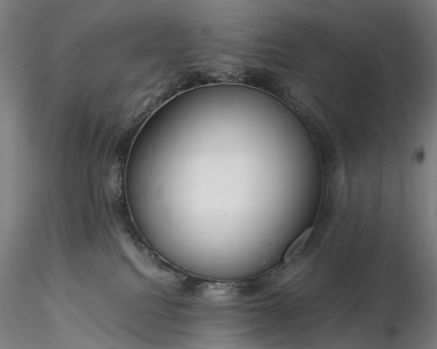 X0000116390088200912161534