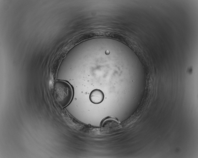 X0000116390089200912161534