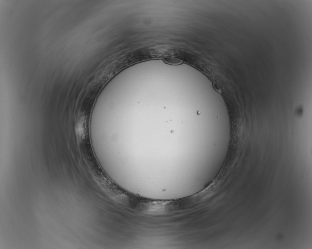 X0000116390090200912161534