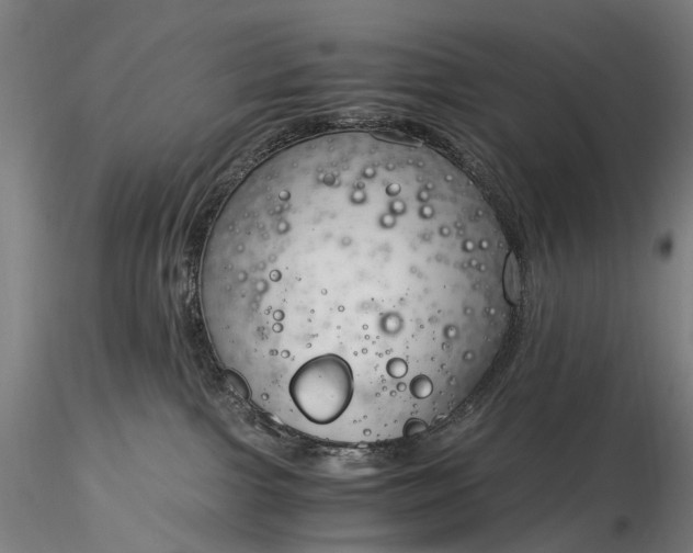 X0000116390091200912161534