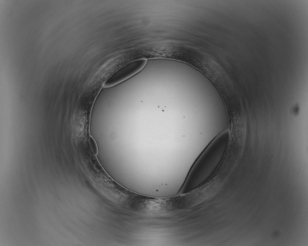 X0000116390092200912161534