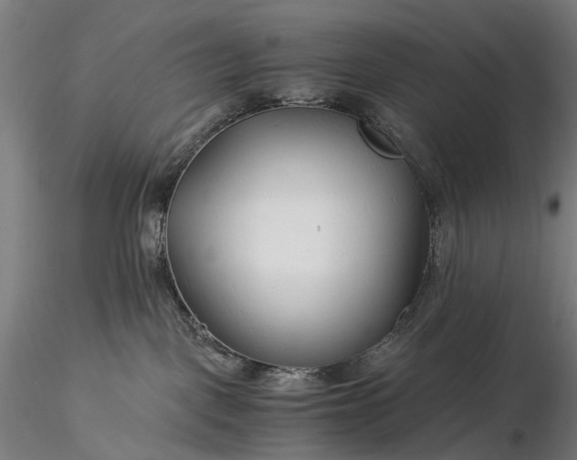 X0000116390093200912161534