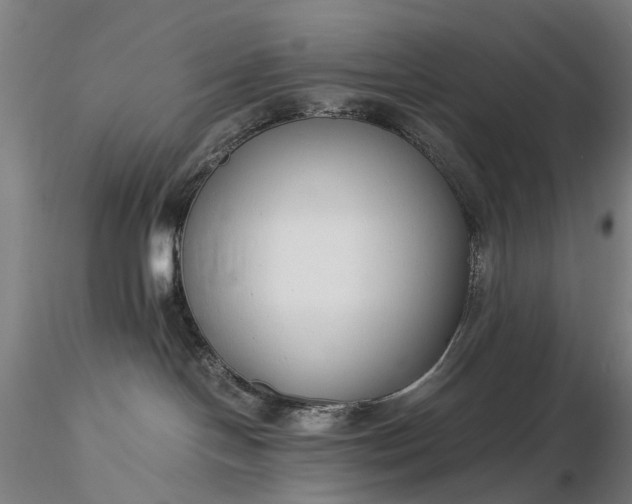 X0000116390094200912161534