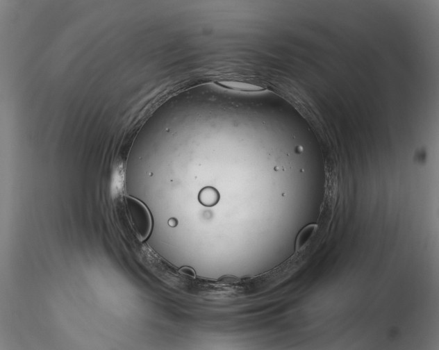 X0000116390095200912161534