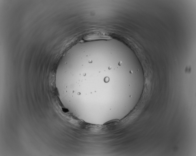 X0000116390096200912161534