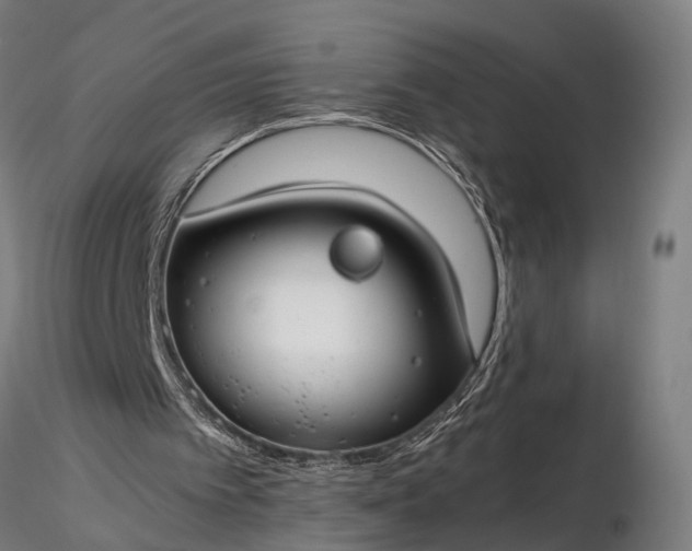 X0000116390097200912161533