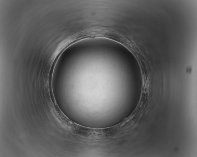 X0000116390099200912161533