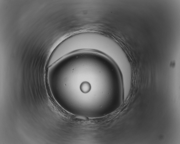 X0000116390100200912161533