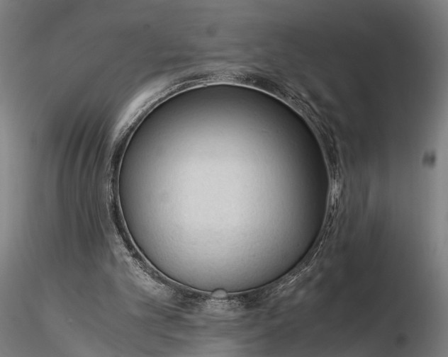 X0000116390101200912161533