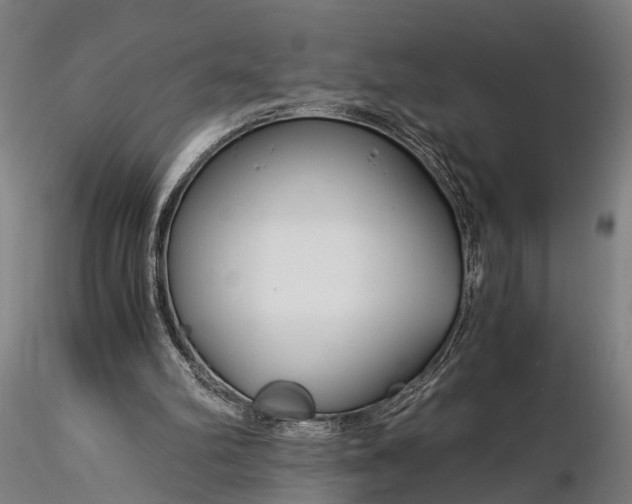 X0000116390102200912161533