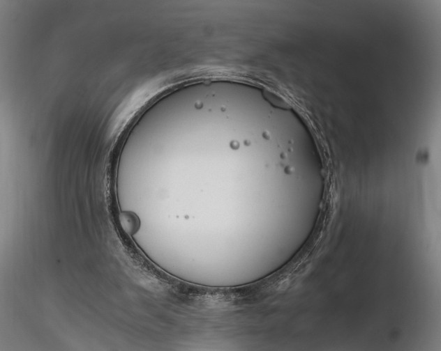 X0000116390103200912161533
