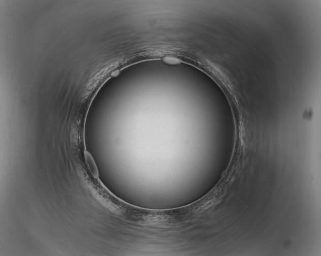 X0000116390105200912161533