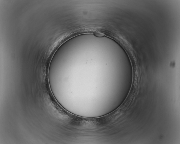 X0000116390107200912161533