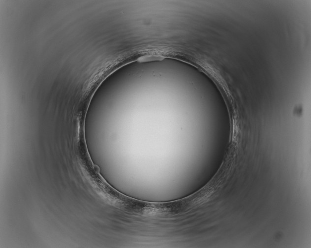 X0000116390109200912161533