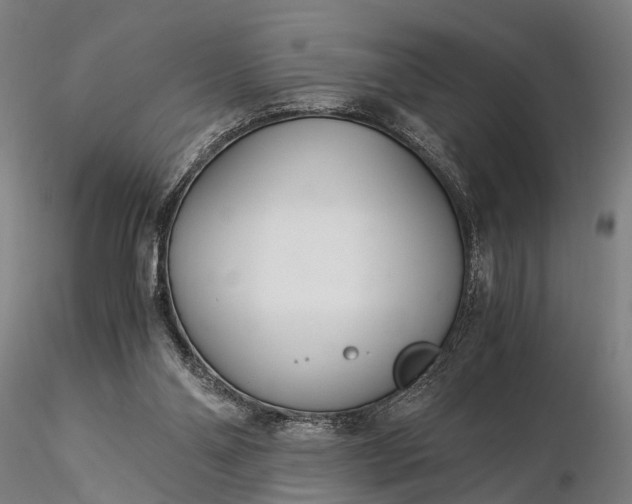 X0000116390110200912161533