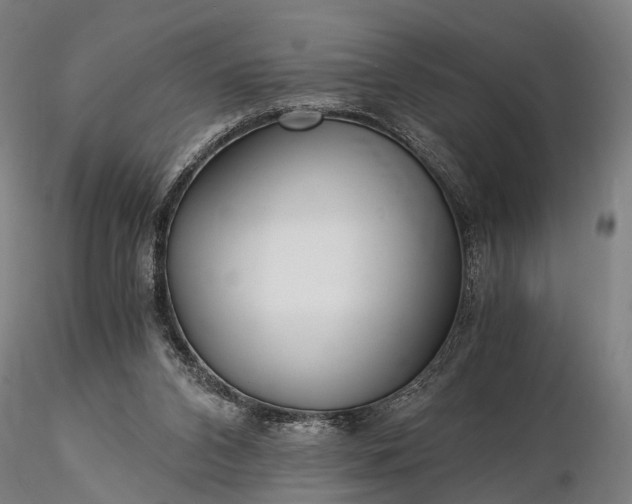 X0000116390112200912161533