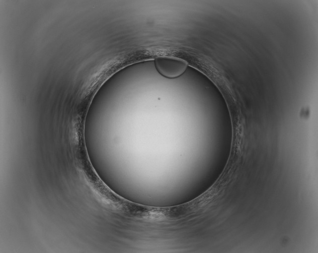 X0000116390114200912161533