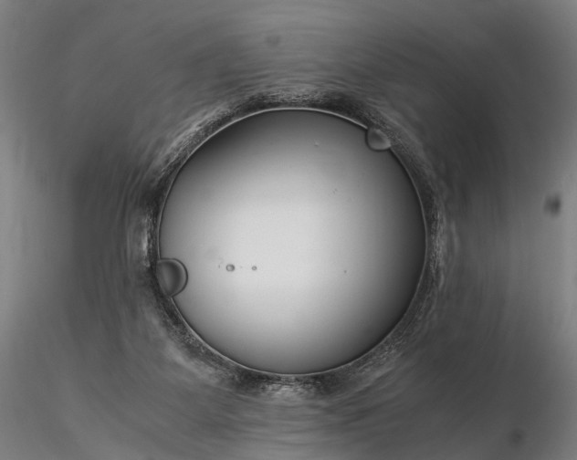X0000116390115200912161533