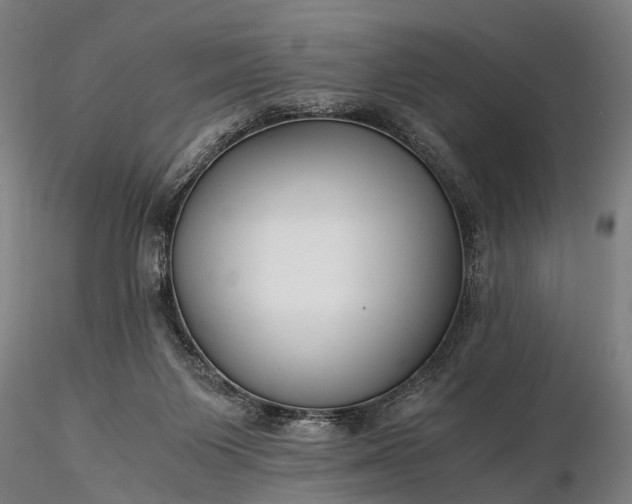 X0000116390119200912161533