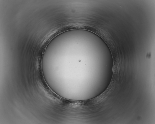 X0000116390120200912161533