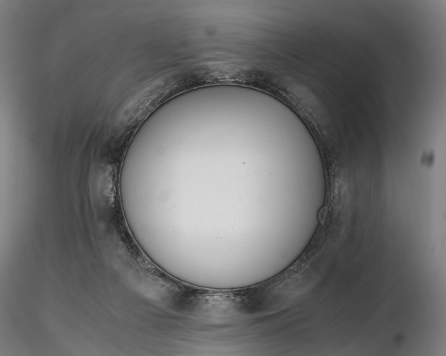 X0000116390121200912161533