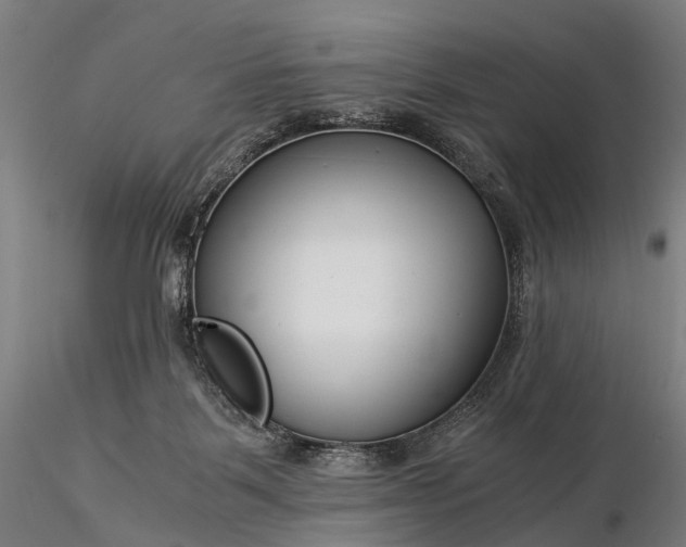 X0000116390123200912161533