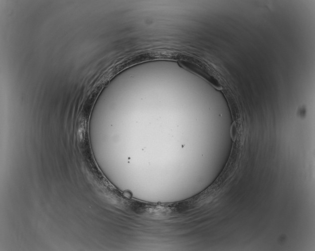 X0000116390125200912161533