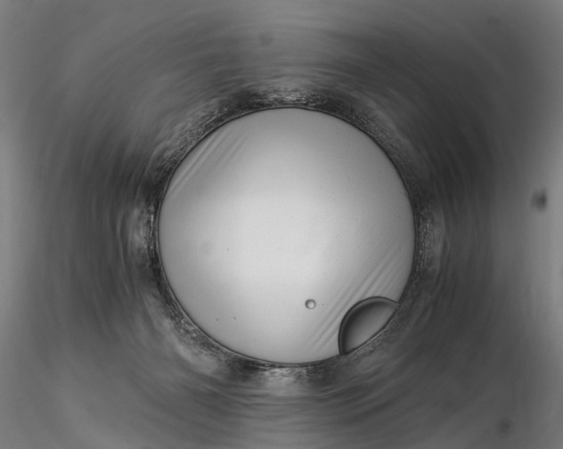 X0000116390126200912161533